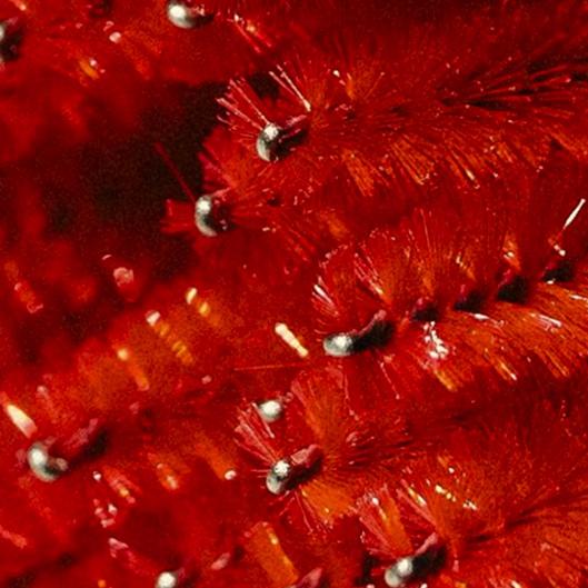 HOLIDAY PARTY SEASON GLOW & GLAM